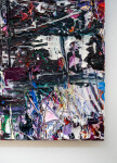 The luscious, expressive paintings of Adam Cohen have won him critical international acclaim. Image 5