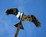 The majesty of an eagle as it soars through the air is captured in this stunning contemporary sculpture by Amos Robinson. Image 6