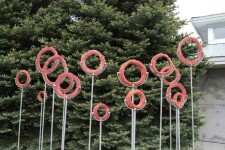 Canadian sculptor Cheryl Wilson-Smith takes daily one-hour walks in the ancient boreal forests that surround her home in Red Lake, Ontario. Image 3