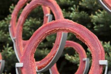 Canadian sculptor Cheryl Wilson-Smith takes daily one-hour walks in the ancient boreal forests that surround her home in Red Lake, Ontario. Image 4