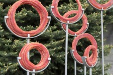 Canadian sculptor Cheryl Wilson-Smith takes daily one-hour walks in the ancient boreal forests that surround her home in Red Lake, Ontario. Image 7