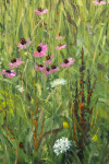 In stunning detail, Ciba Karisik has captured the delicate and serene beauty of pink coneflower and white Queen Anne’s lace flowers lining t… Image 3