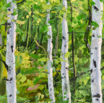 A stand of birch trees—their distinctive white bark playing against a backdrop of verdant green. Image 2