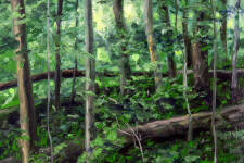 For painter Ciba Karisik nature offers a place of quiet refuge. Image 2