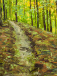 The peace of a forest glade, the sun filtered through leafy green, a path on a slope beckons. Image 2