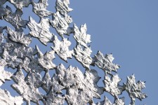 The maple leaf—an iconic Canadian symbol appears in stunning detail in this unique work by sculptor Dale Dunning. Image 6