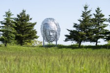 The maple leaf—an iconic Canadian symbol appears in stunning detail in this unique work by sculptor Dale Dunning. Image 5