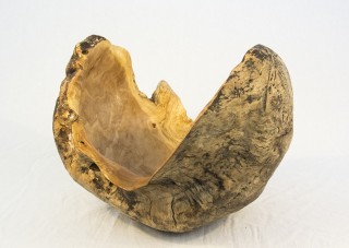 Sculptural Birch Burl