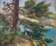 Doris McCarthy is one of Canada’s most important painters whose legacy is a body of work –mostly landscapes in oil that celebrate the wilder… Image 4