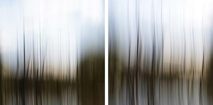 Long dark grasses and cattails form a patterned lattice through which the fall sky pushes through.