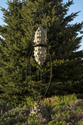 Two textured cones in cast concrete are captured within wire cages in this provocative outdoor sculpture.