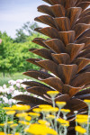 Canadian sculptor Floyd Elzinga’s pine cones have become one of his signature images and now grace many outdoor venues in Canada. Image 5