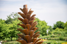 Canadian sculptor Floyd Elzinga’s pine cones have become one of his signature images and now grace many outdoor venues in Canada. Image 7