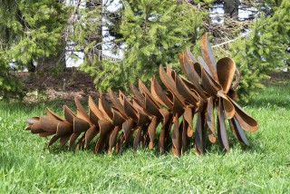 Pine cones—you’ll find them scattered on the ground in every Canadian pine forest.