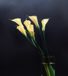 This contemporary realistic oil painting of a lily was painted by James Lahey. Image 6