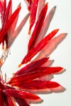 Crimson glass feathers are gathered into a fiery composition in this dramatic wall sculpture by artist John Paul Robinson. Image 7