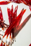 Crimson glass feathers are gathered into a fiery composition in this dramatic wall sculpture by artist John Paul Robinson. Image 5