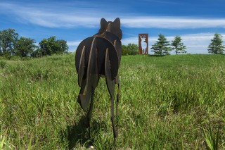 A pack of five wolves in welded steel pursues a buck, the profile of which is cut from a steel plate.