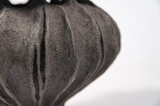 This contemporary ceramic vessel was inspired by nature and rendered in black. Image 7