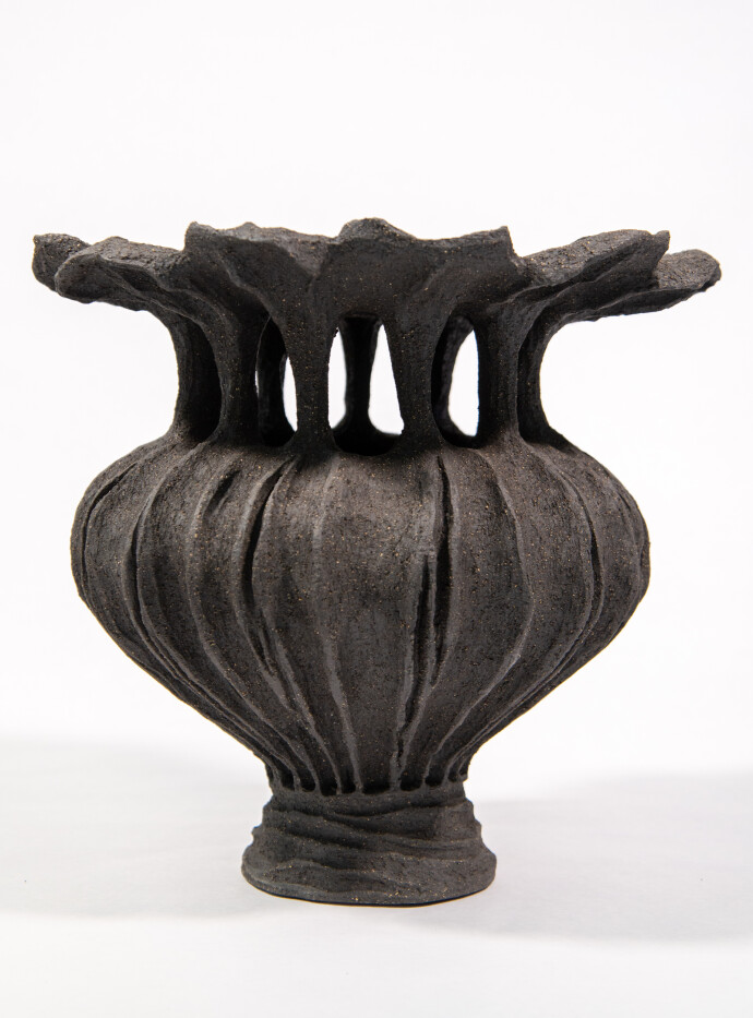 This contemporary ceramic vessel was inspired by nature and rendered in black.