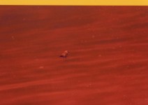 Helicopters hover over a lone figure stands on a scorched ground in this dramatic photo based image by Mark Bartkiw. Image 4