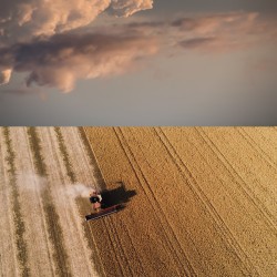 In this dramatic photographic print of a farmer harvesting his crop, Mark Bartkiw has combined dream-like images of land and sky to great ef…