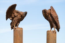 Nicholas Crombach has made a bold choice by depicting a vulture in this dramatic contemporary outdoor sculpture. Image 6