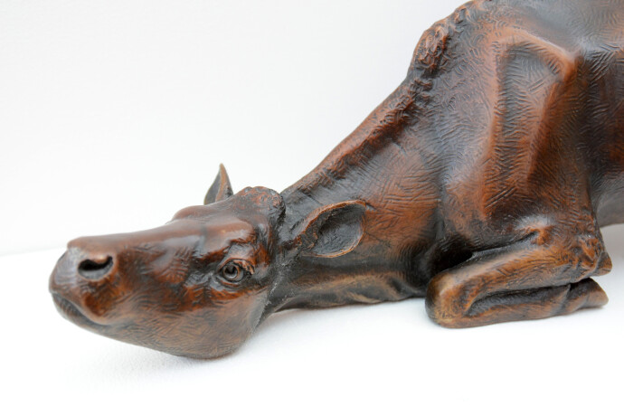 This figurative, life-like, female cow, bronze, interior sculpture is by Canadian artist Nicholas Crombach.