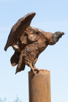 Nicholas Crombach has made a bold choice by depicting a vulture in this dramatic contemporary outdoor sculpture. Image 5