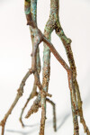 The evocative image of tree branches laying on the ground caught the imagination of sculptor Roch Smith. Image 7