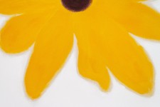 A single golden yellow ‘black-eyed Susan’ pops from the canvas in this joyful painting by Pat Service. Image 6