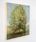 Highly regarded for his luminous, ethereal landscapes reminiscent of the work of John Constable, Peter Hoffer has created a series of tree ‘… Image 3