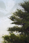 A lone, iconic tree stands against a vast, glowing sky in this large scale landscape painting by Peter Hoffer. Image 5