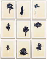 An elegant portfolio of nine woodblock prints creates ‘The Forest’ (Der Wald in German) in this fine series by Peter Hoffer.