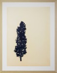 An elegant portfolio of nine woodblock prints creates ‘The Forest’ (Der Wald in German) in this fine series by Peter Hoffer. Image 2