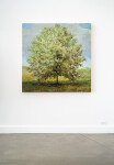 Highly regarded for his luminous, ethereal landscapes reminiscent of the work of John Constable, Peter Hoffer has created a series of tree ‘… Image 2