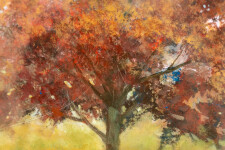 This contemporary landscape painting of a tree was created by a Canadian artist. Image 4