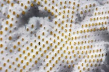 A bird’s eye view of billowing clouds floats across this mesmerizing tondo created by Ryan Van Der Hout. Image 5