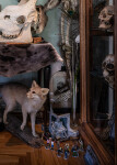 A good friend of the artist’s fascinating and prized collection--human and animal bones, taxidermy, ostrich feathers and a child’s figurines… Image 3