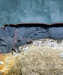 Every spring, the Great Lakes swell with rain water and threaten to flood the Ontario shoreline. Image 5