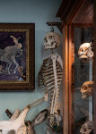 A good friend of the artist’s fascinating and prized collection--human and animal bones, taxidermy, ostrich feathers and a child’s figurines… Image 5