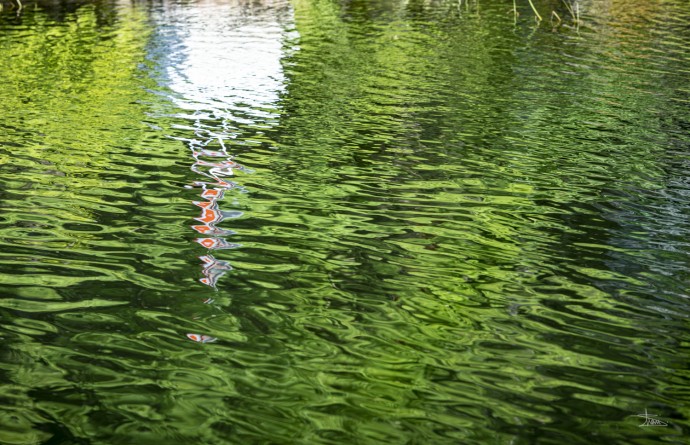 Rippling waters act as a mirror reflecting the sunlit lush green landscape and a white and red buoy in this peaceful photograph by Shani Moo…