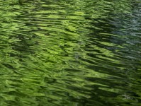 Rippling waters act as a mirror reflecting the sunlit lush green landscape and a white and red buoy in this peaceful photograph by Shani Moo… Image 3