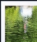 Rippling waters act as a mirror reflecting the sunlit lush green landscape and a white and red buoy in this peaceful photograph by Shani Moo… Image 5