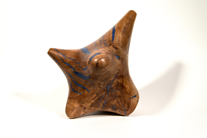 Shayne Dark has elevated the natural beauty of applewood burls by creating unique contemporary sculptures.