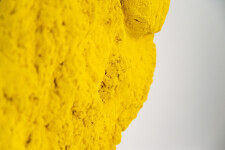 The colour catches your eye at first— a rich, egg yolk yellow. Image 5