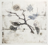 Susan Collett is inspired by the colours, textures and shapes found in nature. Image 2