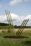 Solid steel rods coated in brilliant brass appear to rise out of the earth and reach for the sky in this dramatic sculpture by Canadian arti… Image 5