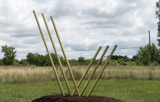 Solid steel rods coated in brilliant brass appear to rise out of the earth and reach for the sky in this dramatic sculpture by Canadian arti… Image 2