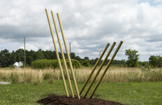 Solid steel rods coated in brilliant brass appear to rise out of the earth and reach for the sky in this dramatic sculpture by Canadian arti… Image 3